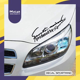 Decal trang trí Sportmind/Baby in car