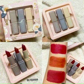 Set son 3 cây giá sỉ