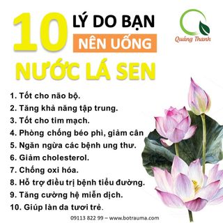 Bột Lá Sen Quảng Thanh 100g- giúp ngủ ngon, giảm mỡ máu.
