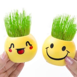 Hủ trồng cây