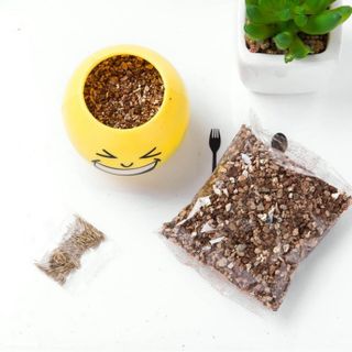 Hủ trồng cây