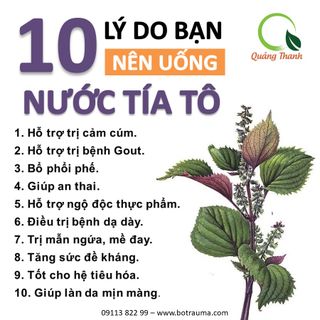Hộp Bột Tía Tô Quảng Thanh Tiện Lợi (3g x 15 gói)