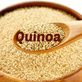 BÁN SỈ SỐ LƯỢNG QUINOA XÁ BAO 25KG giá sỉ