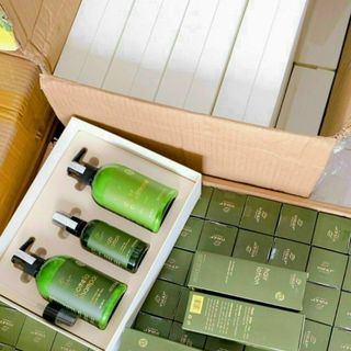 Set bưởi vujuly