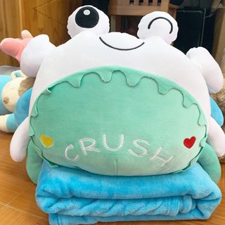 CHĂN MỀN CON CUA 2IN1