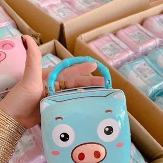 Két mini hình lợn