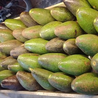 Bơ Sáp Trái Tươi_Size 2-3-4 trái/kg