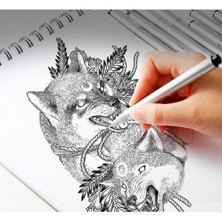 Bút Line Đi Nét Kháng Nước Superior
