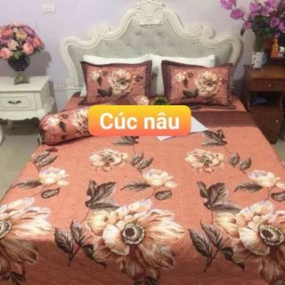 Set bộ cotton poly