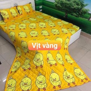 Set bộ cotton poly