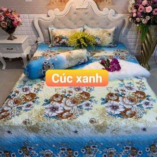 Set bộ cotton poly