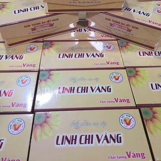 KEM LINH CHI VÀNG BỘ ĐÔI TRỊ NÁM - TRẮNG DA