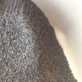 Hạt giống keo tai tượng