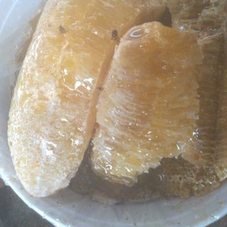 mật ong khoái , ruồi