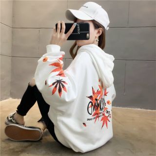 HOODIE ÁO KHOÁC NỈ LÁ PHONG IN CÁNH TAY giá sỉ