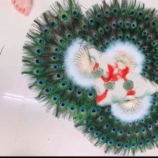 Lông công phong thuỷ 70-80cm