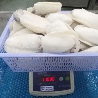 MỰC NANG