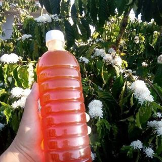Mật ong hoa cà phê Daklak 1Lít