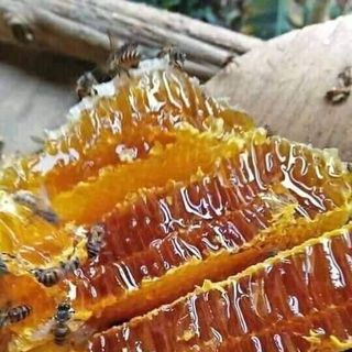 1 lít Mật ong hoa cà phê nguyên chất 100%