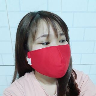 Khẩu trang vải giá rẻ