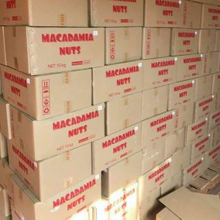 Hạt macca úc