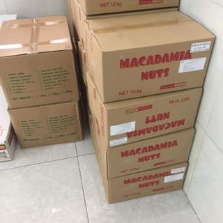Hạt macca úc