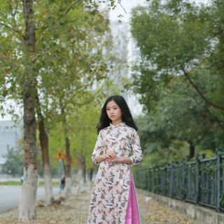 ÁO DÀI TRUYỀN THỐNG HỌA TIẾT CHUỒN CHUỒN