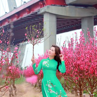 ÁO DÀI ẤN TƯỢNG