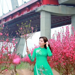 ÁO DÀI ẤN TƯỢNG