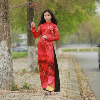 ÁO DÀI CÁCH TÂN CAO CẤP