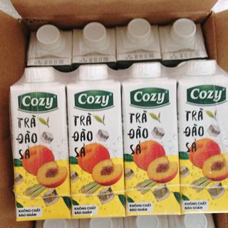 THÙNG TRÀ COZY VỊ TRÁI CÂY