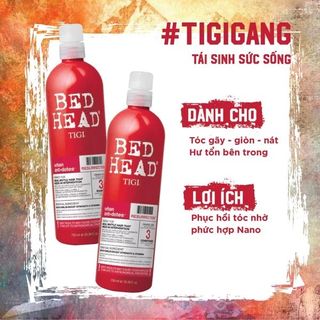 Dầu cặp gội xả BED HEAD TIGI