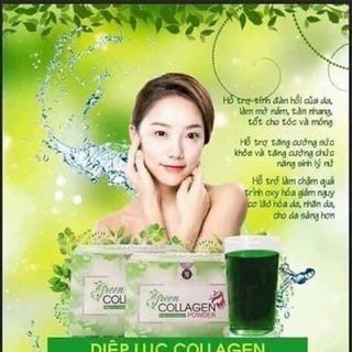 Collagen Diệp lục giá sỉ