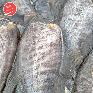 KHÔ CÁ SẶC ( 16-17con/KG )
