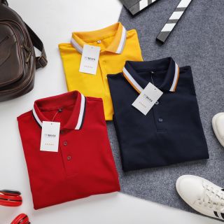 Ao thun nam có cổ Vải cá Sấu