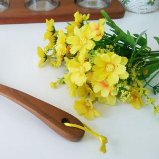 Vá gỗ xà cừ tự nhiên