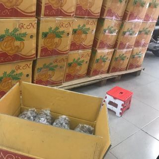 Me thái trái lắc đường