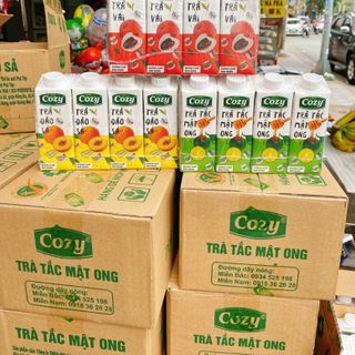 Trà cozy thùng 24 hộp