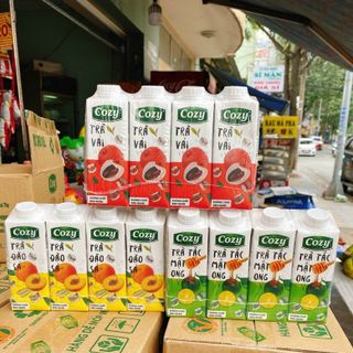Trà cozy thùng 24 hộp
