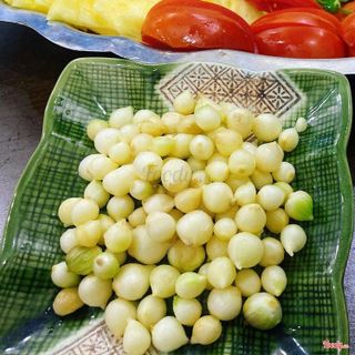 Hành Tăm Củ Nén Nghệ An