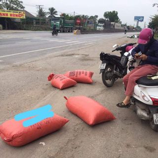 Hành Tăm Củ Nén Nghệ An