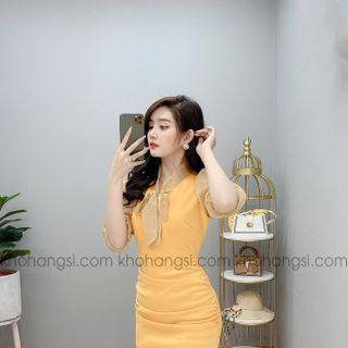ĐẦM TIỂU THƯ PHỐI NƠ