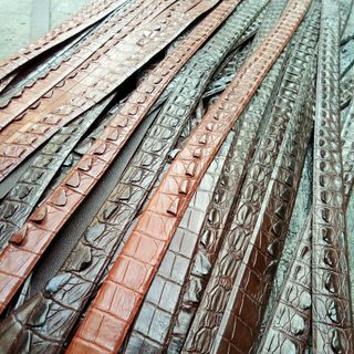 Dây nịt da cá sấu 100%