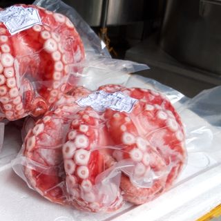 Bạch tuộc Nhật đủ size cho nhà hàng, siêu thị