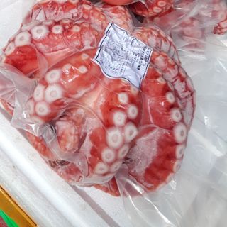 Bạch tuộc Nhật đủ size cho nhà hàng, siêu thị