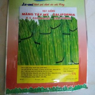 Hạt Giống Măng Tây Mỹ