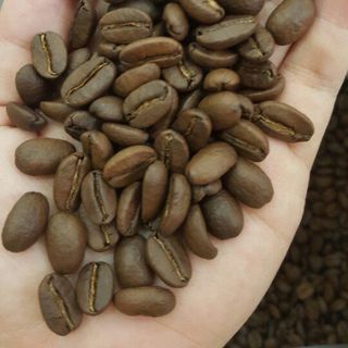 Cà phê Arabica rang mộc nguyên chất 100%