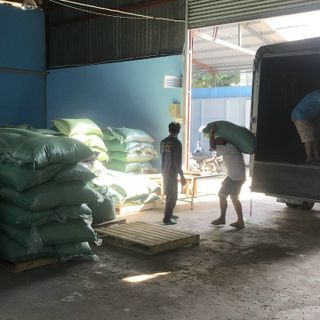 Cà phê Arabica rang mộc nguyên chất 100%