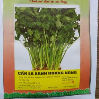 Hạt giống cần tây chịu nhiệt - 5gr