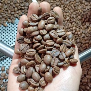 Cafe Robusta rang mộc nguyên chất 100%